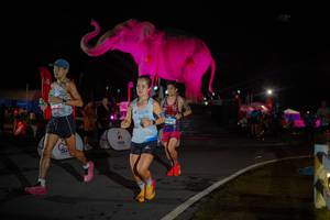 BIB: 
                            <button type="button" onclick="openModal(26551844)" class="btn btn-primary btn-sm float-right btn-popup" data-toggle="modal" data-target=".modal-high-quality">
                        <i class="fas fa-shopping-cart"></i> Add to Cart
                    </button>
                                            <button type="button" onclick="isThisMe(26551844, true)" class="btn btn-success btn-sm float-right btn-popup btn-isme hidden" data-toggle="tooltip" data-placement="bottom" title="นี่คือรูปของคุณใช่ไหม คลิกที่นี่เพื่อเอาเข้าอัลบั้ม">
                        <i class="fas fa-plus"></i> Add to album
                    </button>
                    <button type="button" onclick="isThisMe(26551844, false)" class="btn btn-warning btn-sm float-right btn-popup btn-isnotme hidden">
                        <i class="fas fa-ban"></i> Remove from album
                    </button>